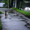 В четверг во Владивостоке снова дождь