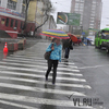 В выходные во Владивостоке ожидается сильный дождь — синоптики