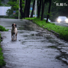 Тайфун «Soulik» накрыл Владивосток (ФОТО)