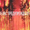 Россиян будут штрафовать за прогулки в лесу в пожароопасный период
