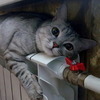 С 1 июня во Владивостоке меняется порядок определения оплаты за отопление в домах с ОДПУ