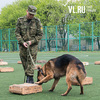 Служебные собаки со всего Дальнего Востока продемонстрируют во Владивостоке нюх на наркотики и «послушание» (ВИДЕО)