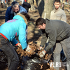 «Нормальный работник идет на субботник»: во Владивостоке началась весенняя уборка (ФОТО)