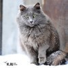 Ближайшие дни во Владивостоке будут морозными и ветреными