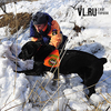 Во Владивостоке прошла тренировка служебных собак МЧС по спасению попавших под снежный завал людей (ФОТО)