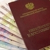 Жители Владивостока смогут получить бесплатные консультации специалистов по вопросам пенсионного обеспечения