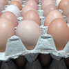 В районе торговой базы на Фадеева во Владивостоке изъята крупная партия просроченных яиц
