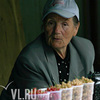 Во Владивостоке пенсионеры смогут получить денежную компенсацию за проезд к дачным участкам
