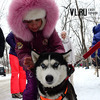 Во Владивостоке воспитанников «Паруса Надежды» прокатили на собачьих упряжках