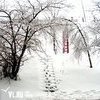 Циклон принес в Приморье сильный снег