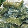 В Приморье полицейские изъяли почти 450 килограммов засушенной марихуаны