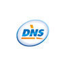       DNS ()