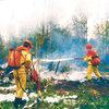 В тушении лесных пожаров в Сибири могут принять участие приморские огнеборцы