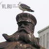 Жители Владивостока рассказали, какого памятника не хватает городу (ВИДЕОБЛИЦ)