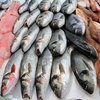 Во Владивостоке исключили из оборота более 23-х тонн некачественной рыбы