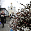 Православные Владивостока отмечают Вербное воскресенье (ФОТО)