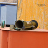 В районе мусороперерабатывающего завода Владивостока найдена боевая мина (ФОТО)