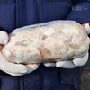 Во Владивостоке уничтожают семь контейнеров просроченного мяса (ФОТО)