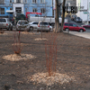 Во Владивостоке завершается реконструкция сквера имени Суханова