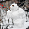 В День влюбленых во Владивостоке возможен снег