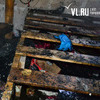Пожар в строящемся коттедже на Эгершельде унес жизни двух человек (ФОТО)