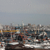 В торговом порту Владивостока горело судно