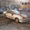 Упавшее во Владивостоке дерево повредило линию электропередач и автомобиль (ФОТО)