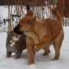 В выходные во Владивостоке усилятся морозы