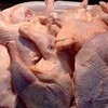Во Владивостоке уничтожают 250 тонн опасной для здоровья курятины