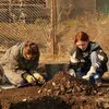 Студенты-археологи: остров Русский был густо заселен в доисторическую эпоху (ФОТО)