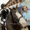 На «Заре» проходит Чемпионат Приморского края по конному спорту