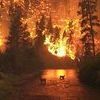 Приморцам напоминают правила пожарной безопасности в лесах