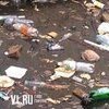 «Подснежники» на Сельской — пластиковые бутылки, пакеты, окурки (ФОТО)