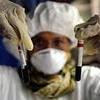 В Приморье началась вакцинация против вируса птичьего гриппа