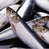 Жителям Владивостока хотели скормить 8 тонн просроченной рыбопродукции