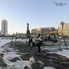 В центре Владивостока начали устанавливать новогоднюю елку (ФОТО)