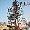 Скоро на главной площади Владивостока начнется монтаж 28-метровой ели