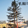 Улицы Владивостока начали украшать к Новому году (ФОТО)