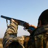 Эксперт: новый закон «Об охоте» помешает лишь приморским олигархам