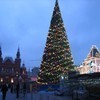 На елку в Кремль отправятся 25 приморских школьников