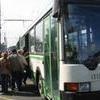 Среди водителей автобусов во Владивостоке будут выявлять наркоманов