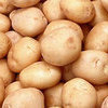 На территории Владивостока введен карантин по золотистой картофельной нематоде