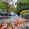 � ������ ���� ����� �� ������������ ����� +28�C