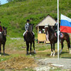 Во Владивостоке пройдет чемпионат по конному спорту