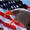 Бизнес Америки заинтересован в стройках саммита АТЭС (ФОТО)