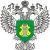 Детей школы-интерната Владивостока кормили просроченной крупой