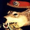 Во Владивостоке милиционер брал взятки золотыми полковничьими звездами