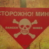 За установку на огороде мин-ловушек от воров житель Уссурийска ответит перед законом
