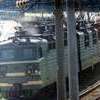 В Приморье ухудшается ситуация с «брошенными» грузовыми поездами