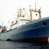 Грузовое судно с российским экипажем терпит бедствие в Японском море
